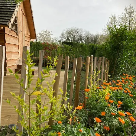 Chalet Insolite Entre Albi Et Cordes-sur-ciel *