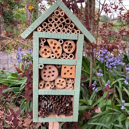 Insolite Entre Albi Et Cordes-sur-ciel Sainte-Croix (Tarn)