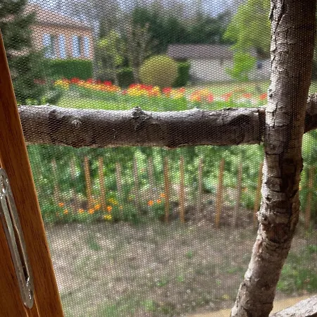 Insolite Entre Albi Et Cordes-sur-ciel Chalet