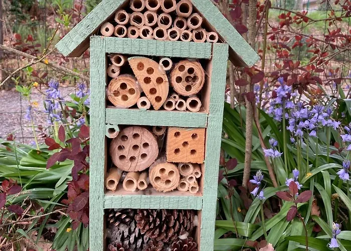 Insolite Entre Albi Et Cordes-sur-ciel Sainte-Croix (Tarn)