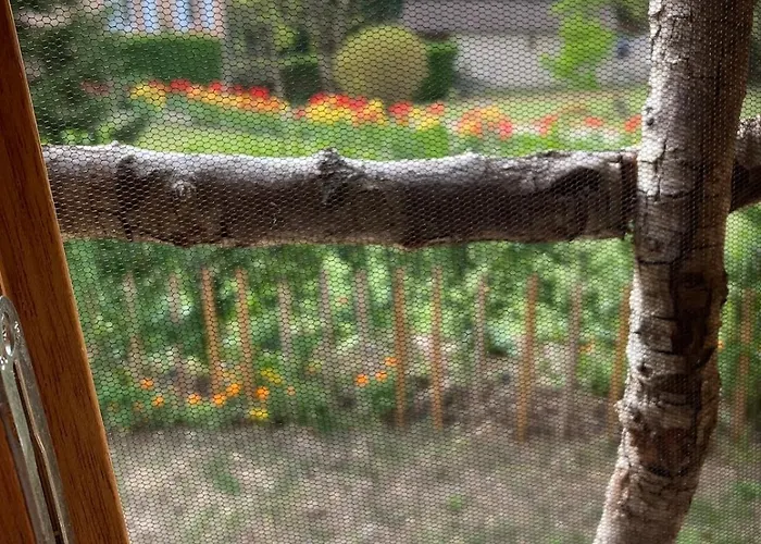 Insolite Entre Albi Et Cordes-sur-ciel 木屋